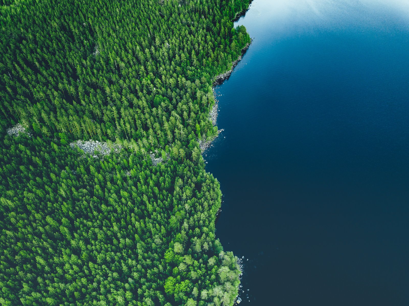 Environmental Licensing and Permitting