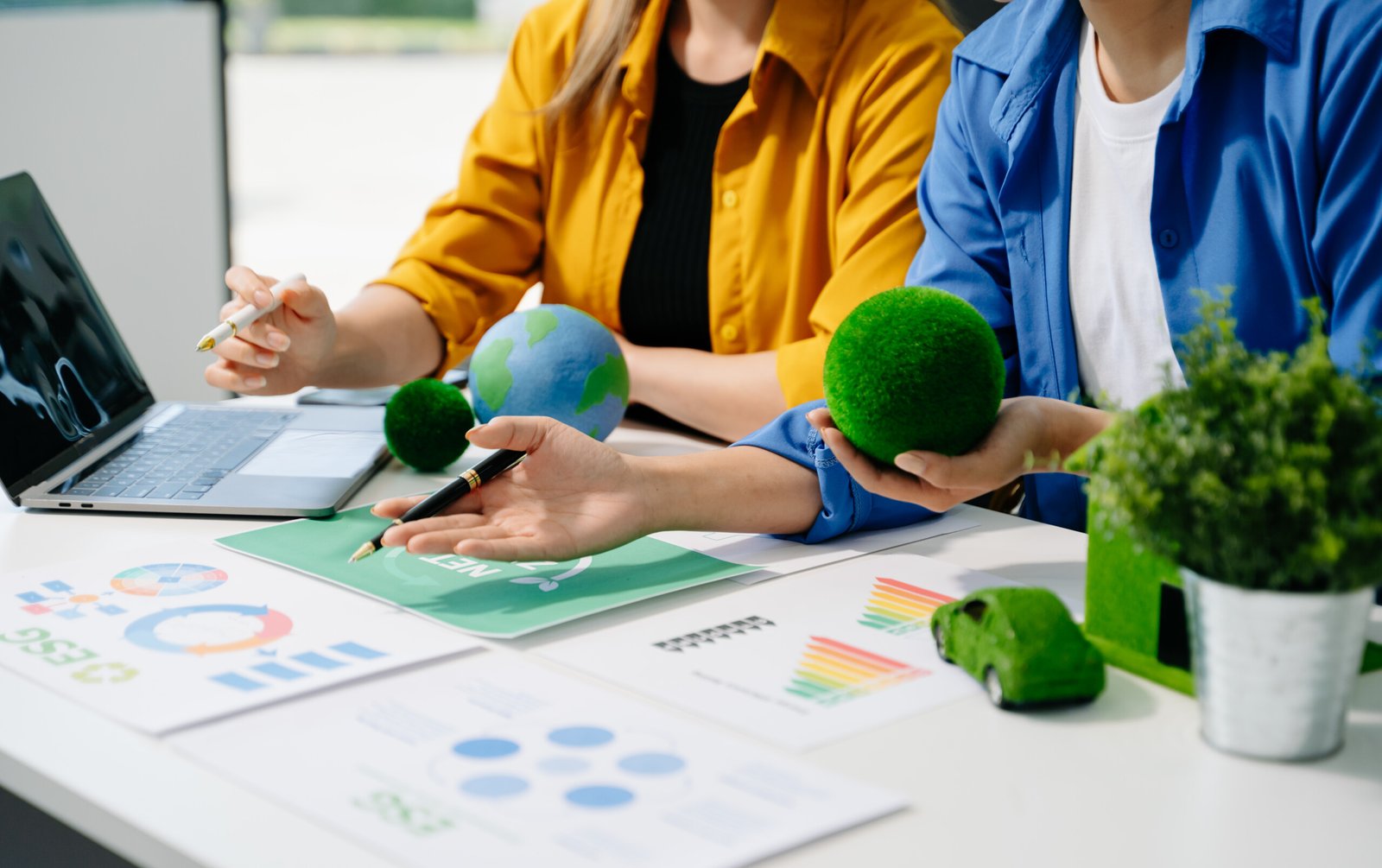 Environmental and Social Assessments, Due Diligence, and Audits
