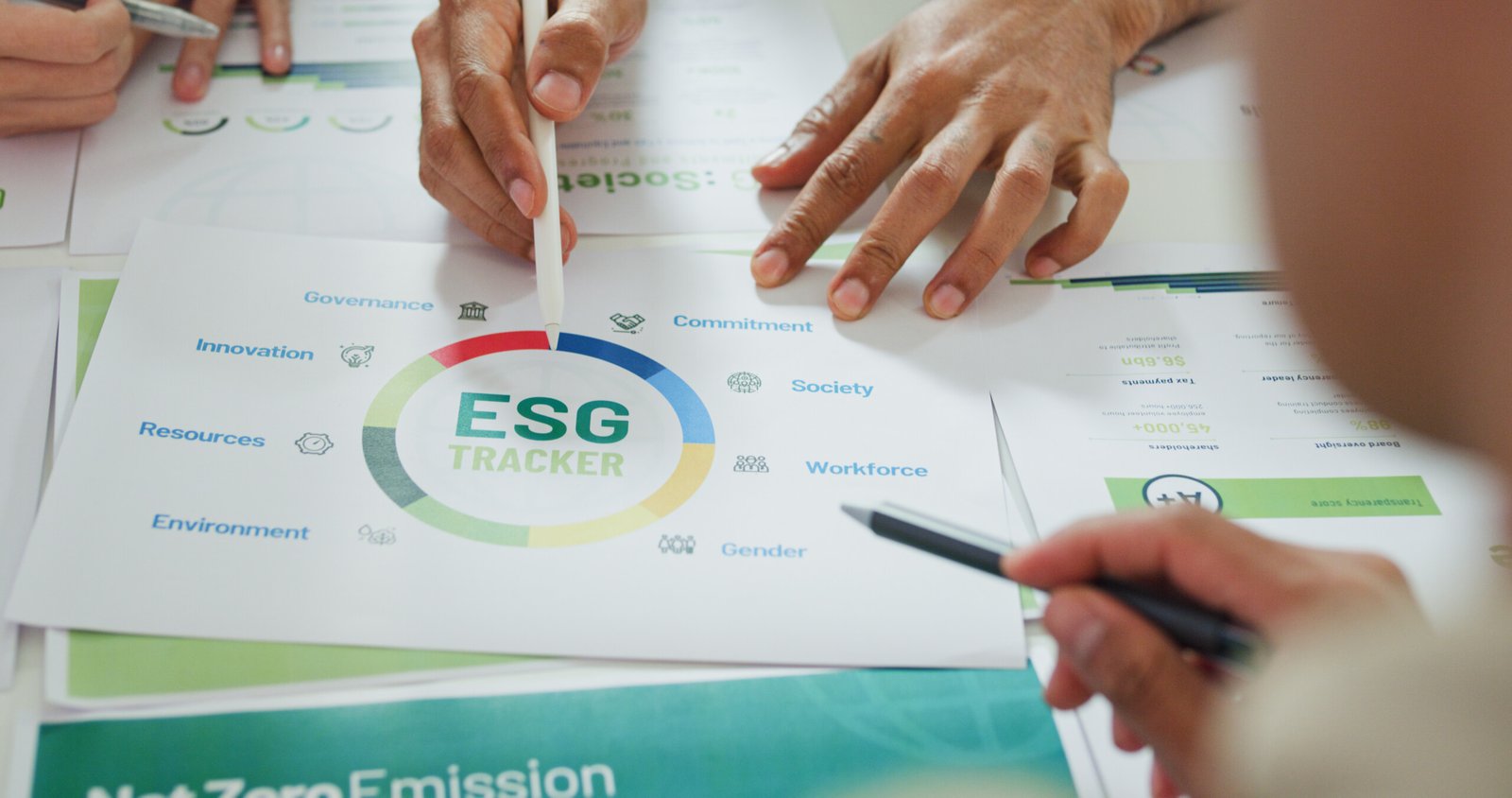 ESG and Sustainability Strategies