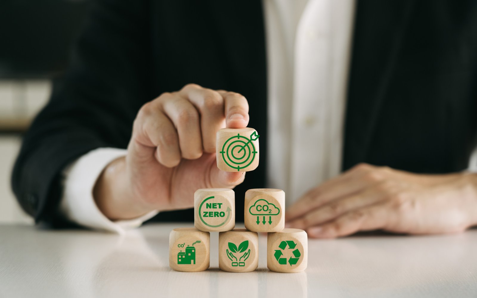 Environmental and Social Monitoring and Evaluation